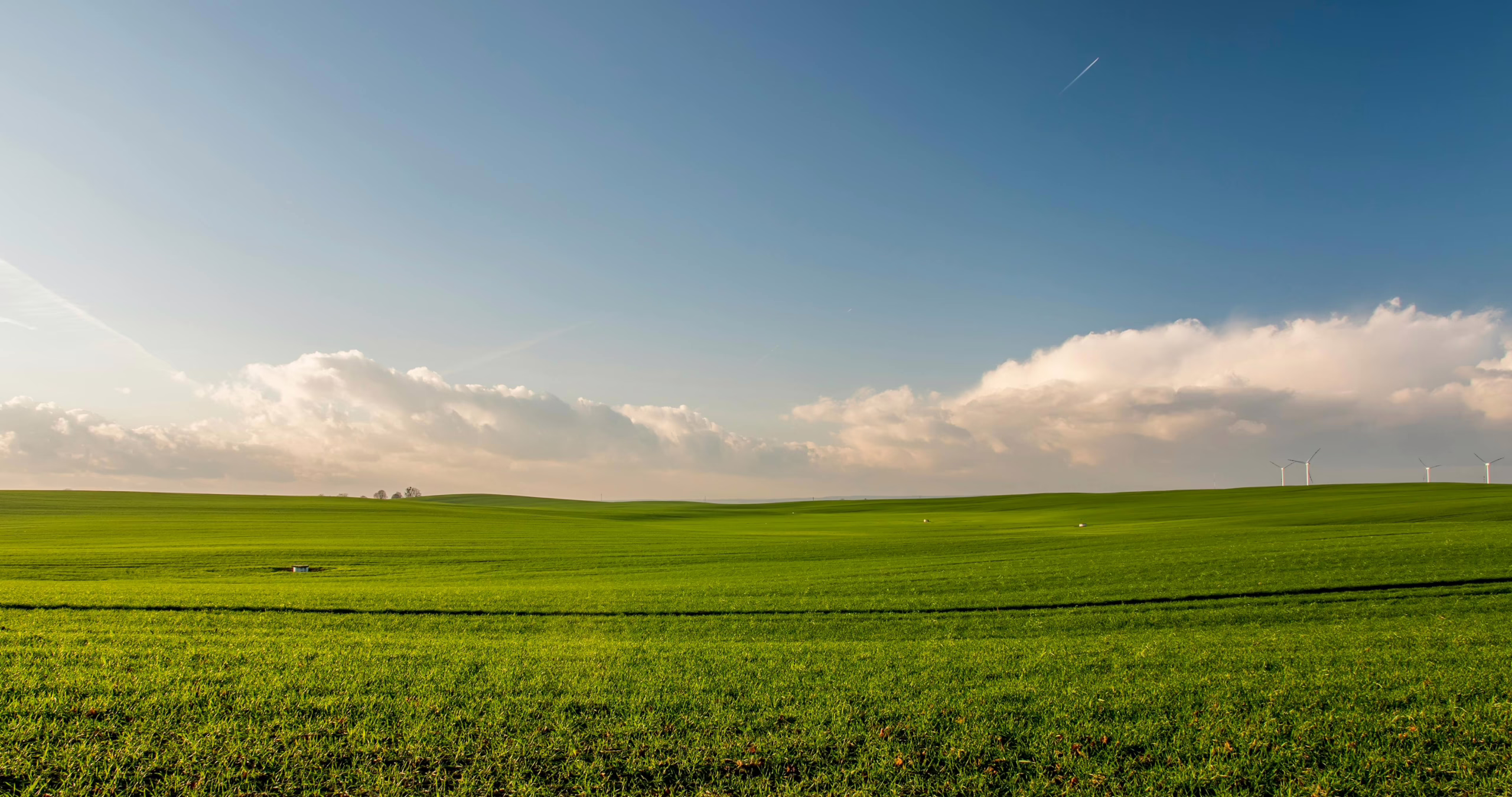 Future Energy Landscapes – Engaging communities in local energy
